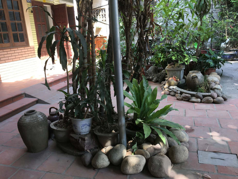 Halo Bay Homestay, Hạ Long