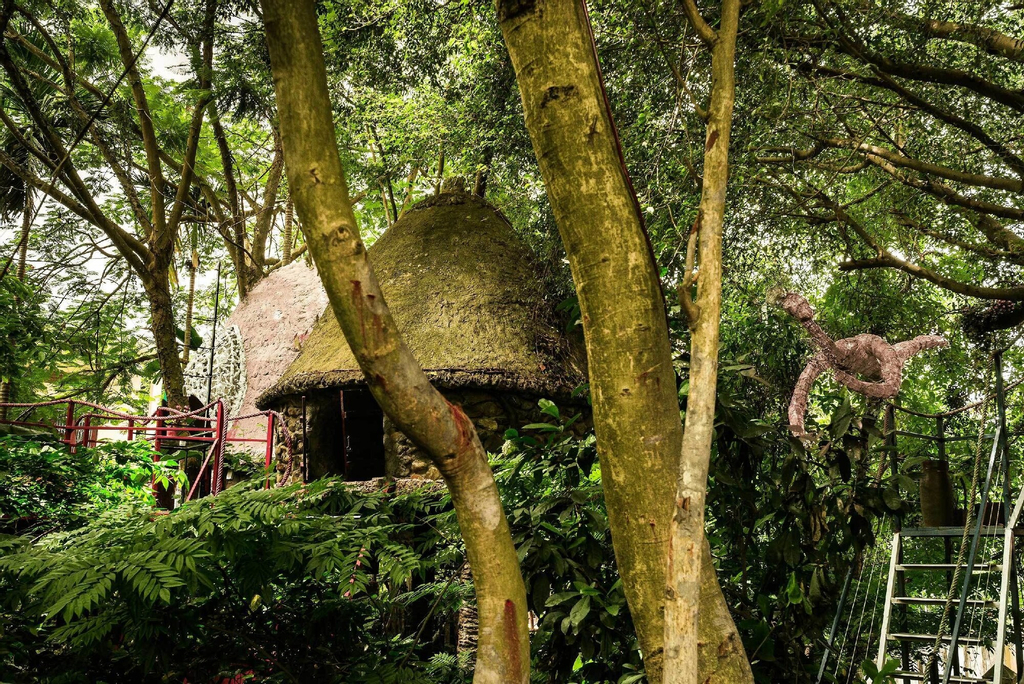 Dao Anh Khanh Treehouse, Long Biên