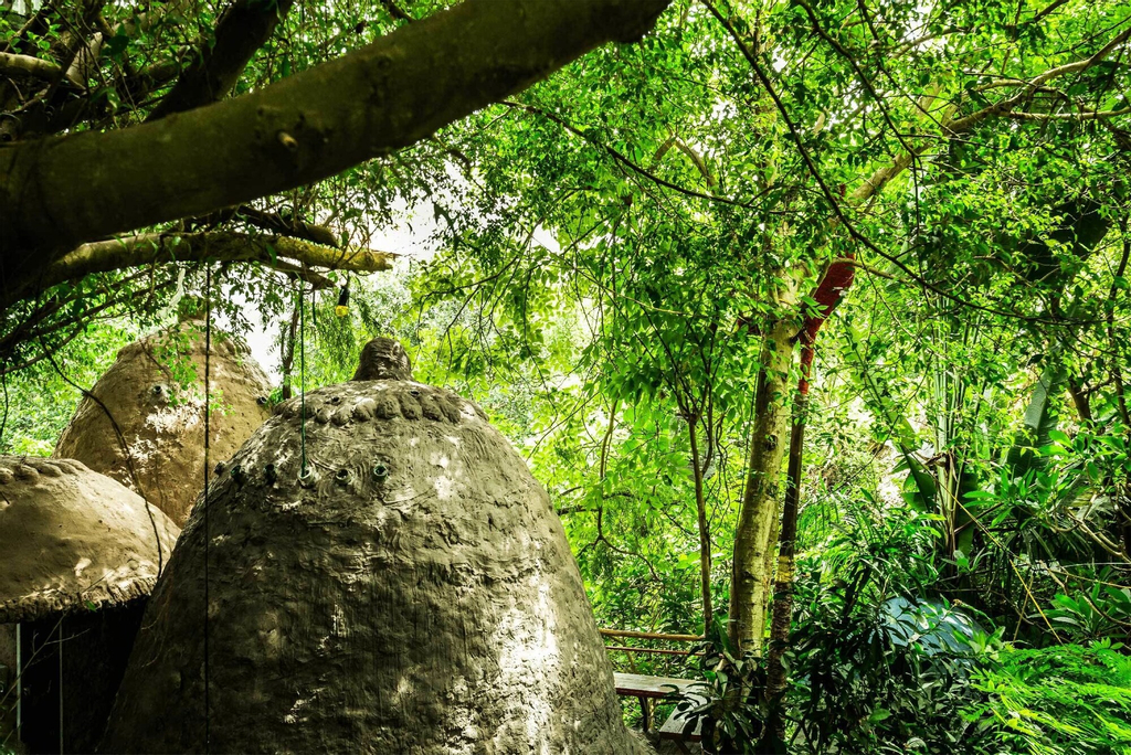 Dao Anh Khanh Treehouse, Long Biên