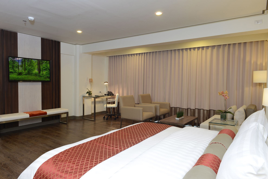 The Carmen Hotel, Naga City