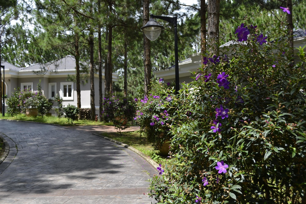 Dalat Edensee Lake Resort & Spa, Đà Lạt