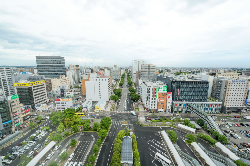 Hotel Metropolitan Sendai East, Sendai