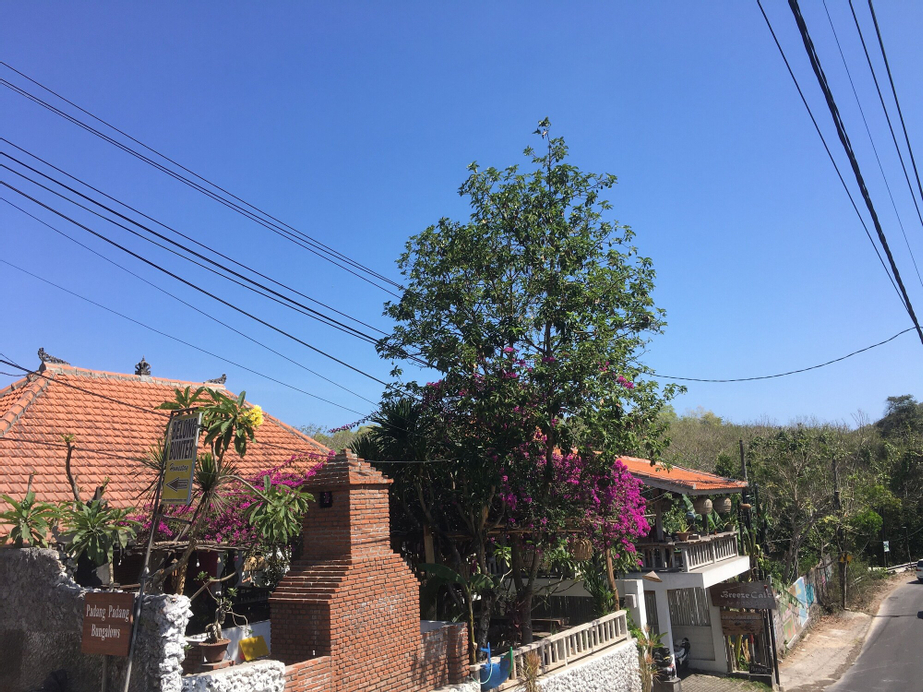 Padang Padang Breeze, Badung