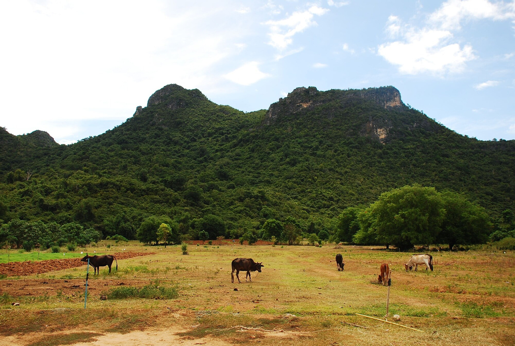 CBT Thung Samroiyod, K. Sam Roi Yot