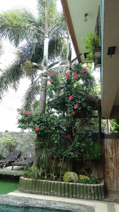 MB's Garden Inn, Lapu-Lapu City