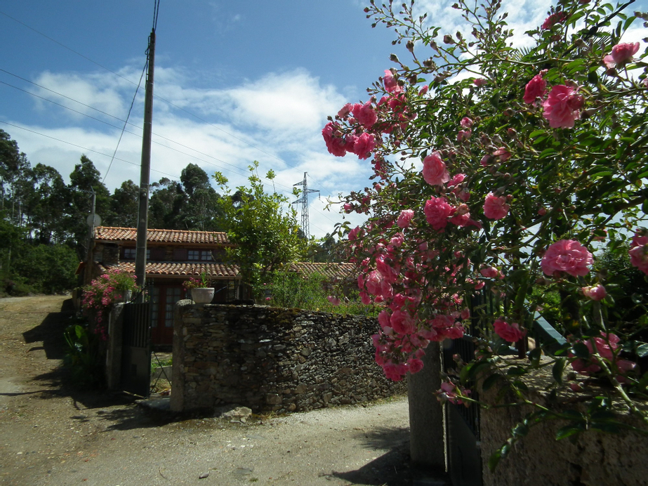 Azenha da Lagoa Negra, Barcelos