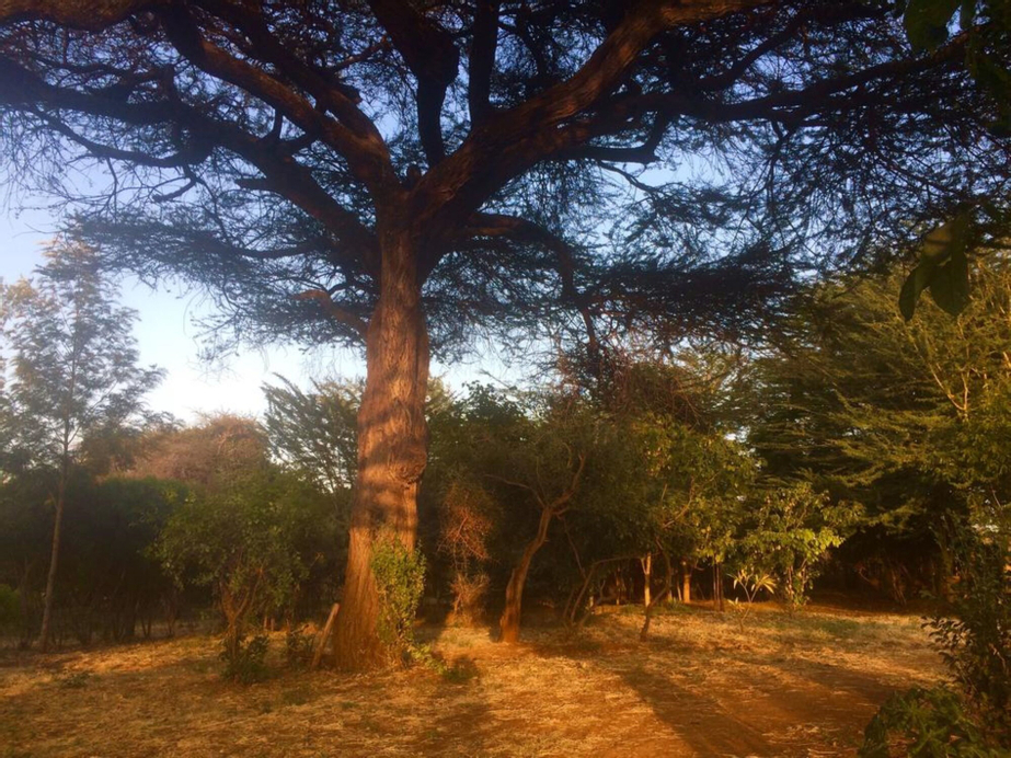Amboseli Eco Camp, Kajiado South