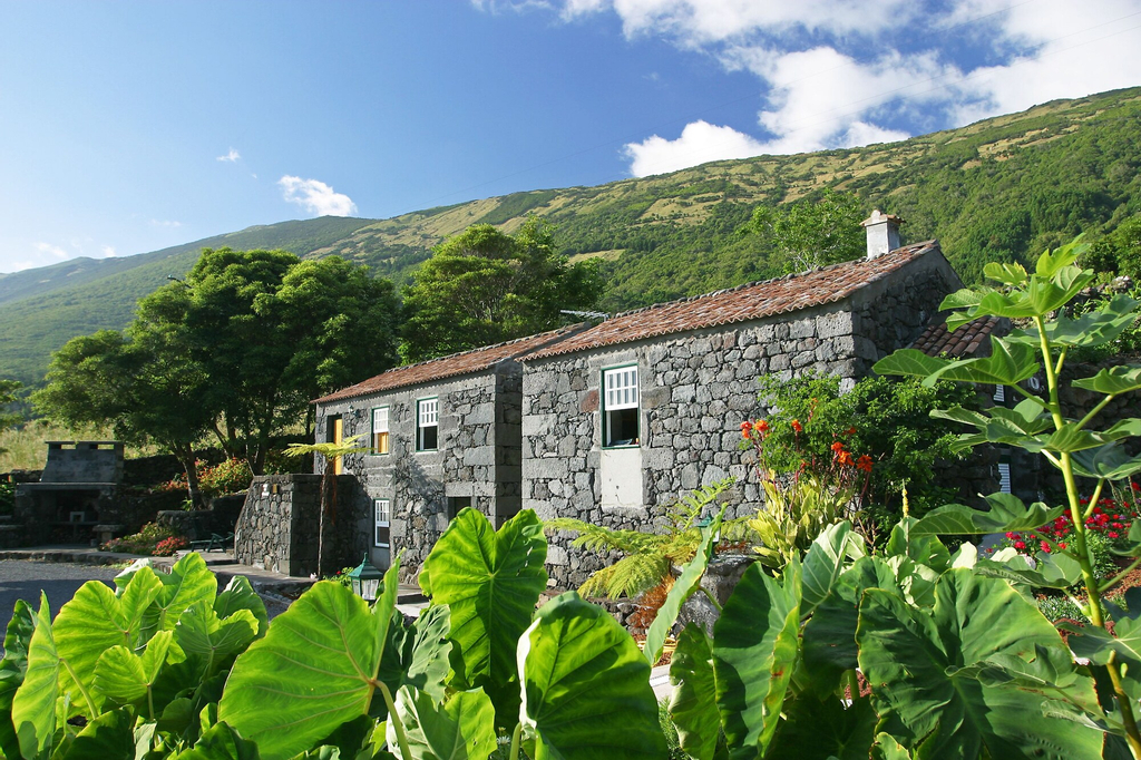 Adegas do Pico, São Roque do Pico