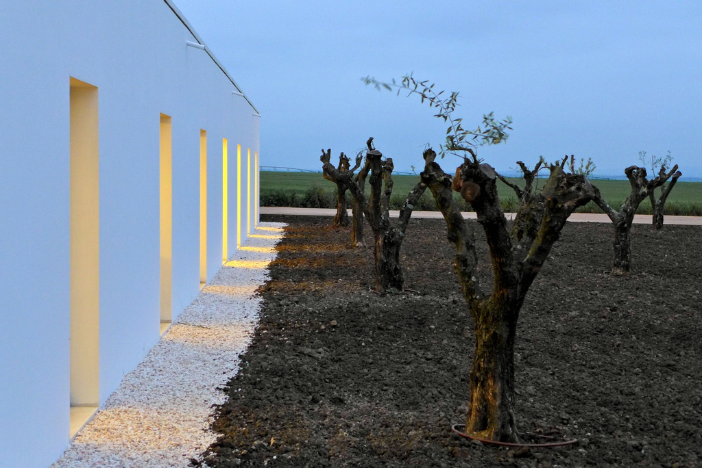 Torre de Palma Wine Hotel - Design Hotels, Monforte