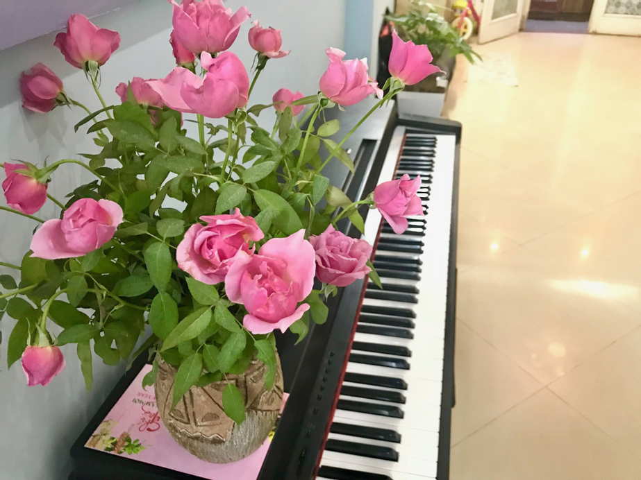The Rose Home, Cầu Giấy
