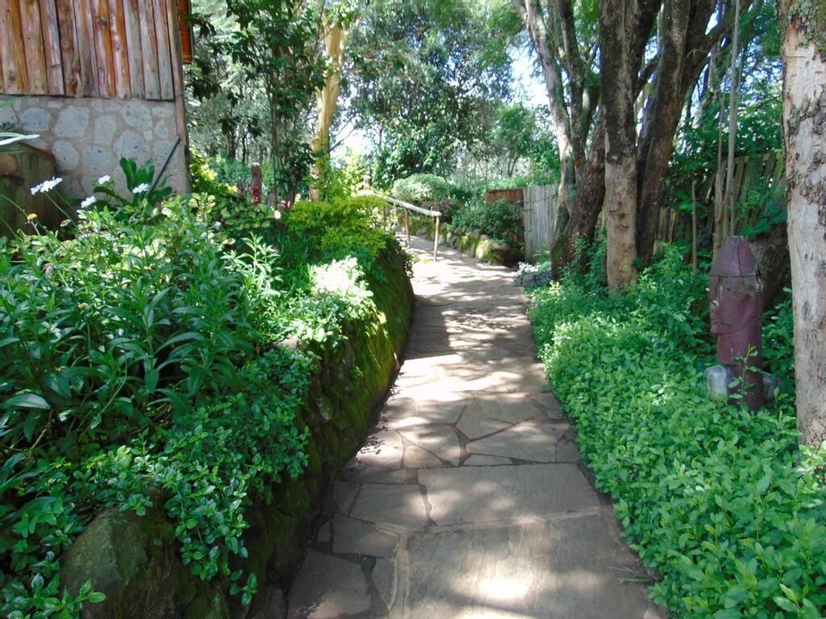 Naro Moru River Lodge, Laikipia East