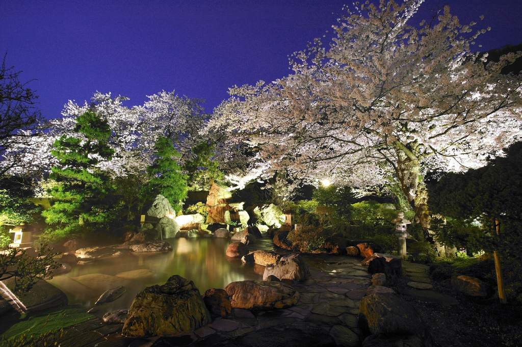 Shogawa Onsen Furyu Midou Zashiki YUMETSUZURI, Tonami