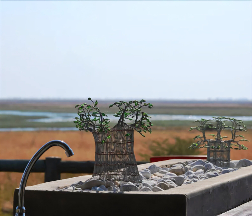 Mwandi View Lodge, Chobe