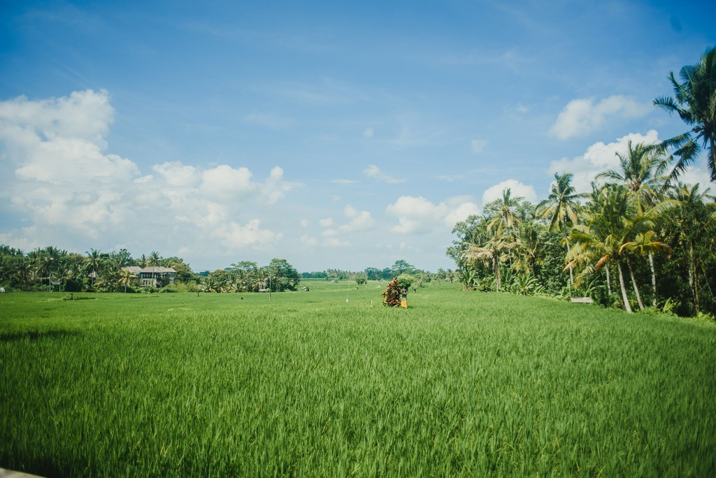 Bhuana Shanti Ubud, Gianyar