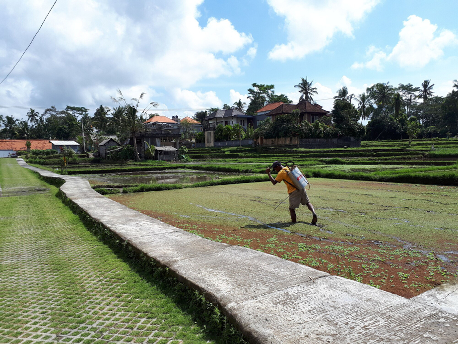 Villa Kirani Ubud, Gianyar