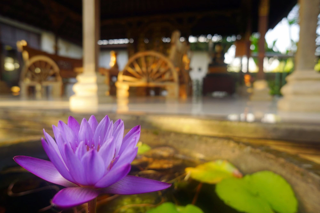 Villa Annapurna, Badung