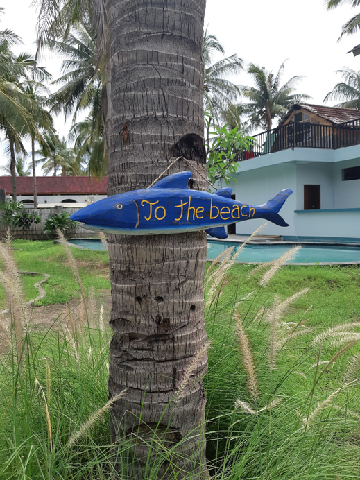 Cozybaze Gili Hostel, Kepulauan Gili