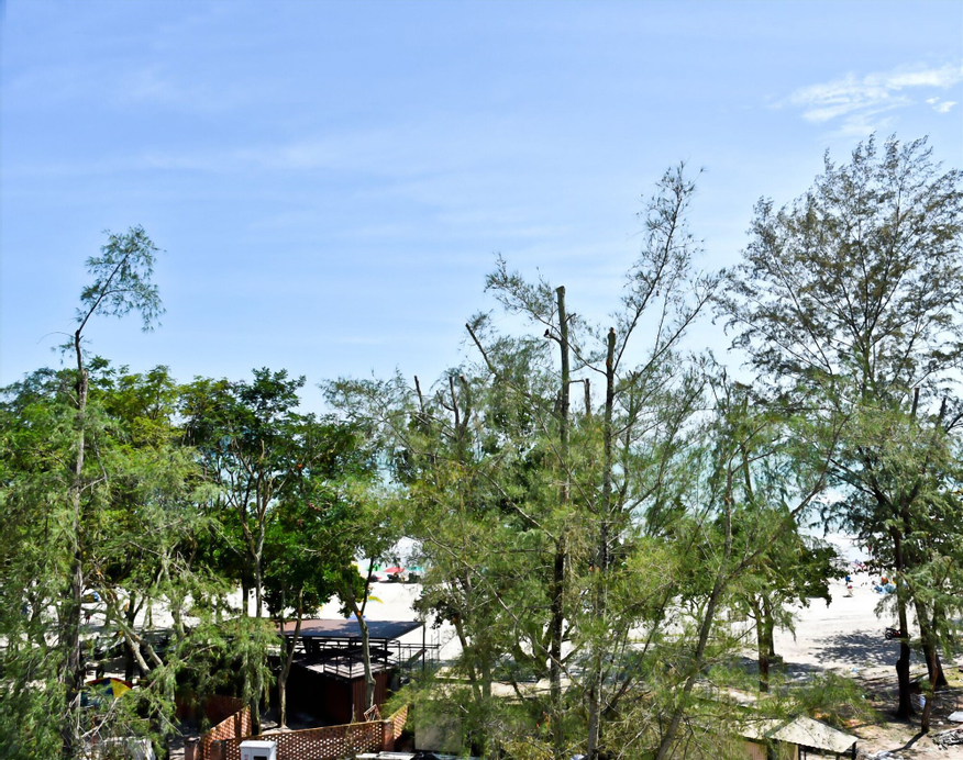 Cenang Plaza Beach Hotel, Langkawi