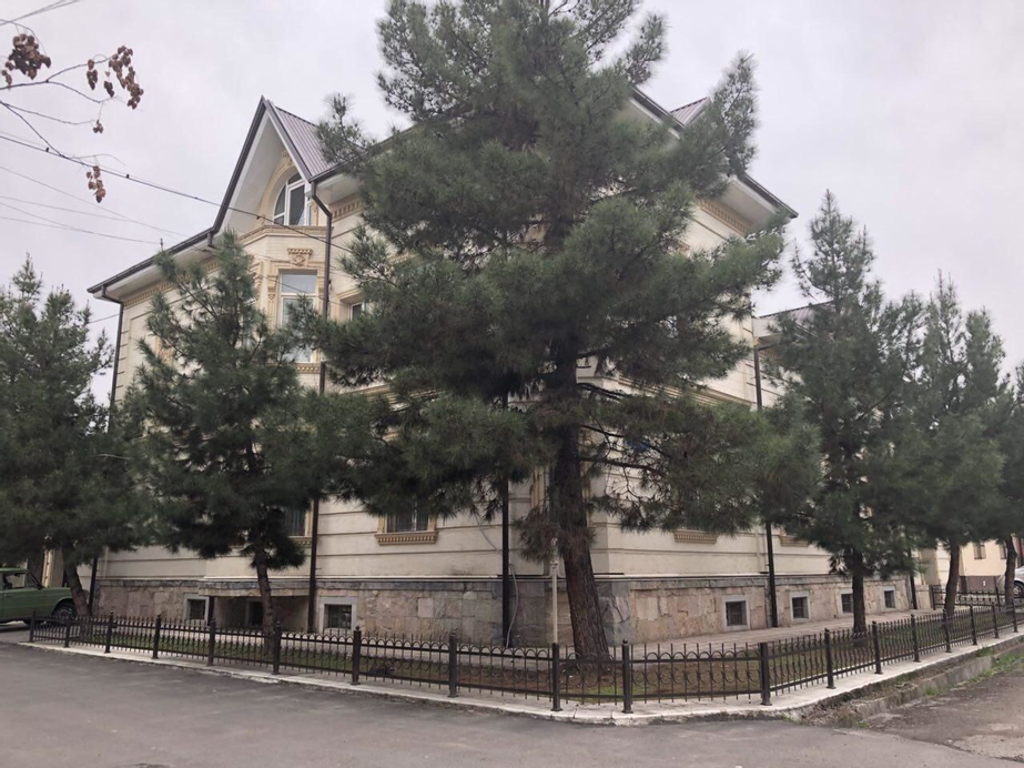 Gonzo Crib, Tashkent City