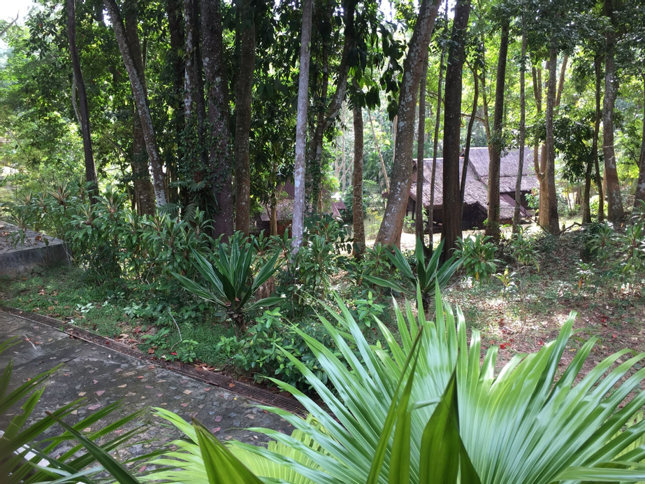Kampung Tok Senik Resort, Langkawi