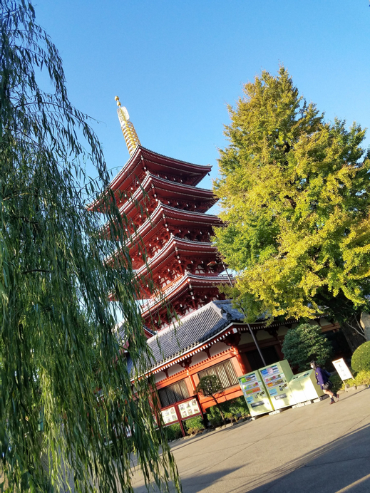 Sakura Hostel Asakusa, Taitō
