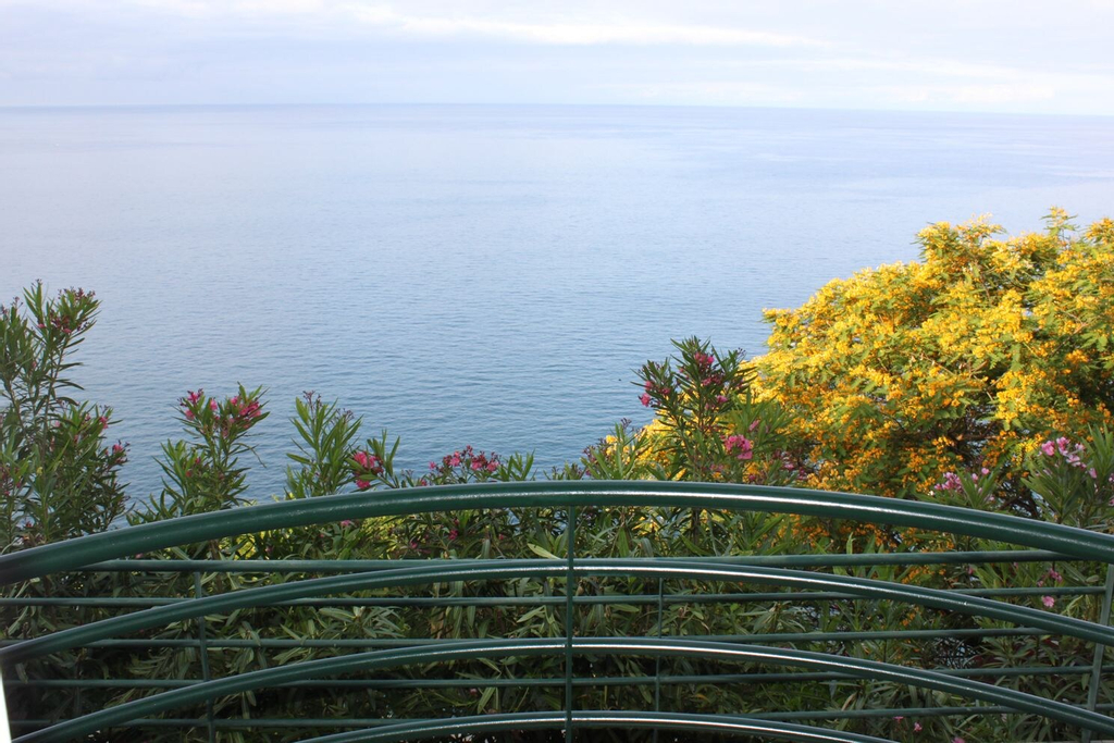 Lobos Bay, Câmara de Lobos