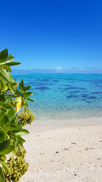 Villa Ylang Ylang - Moorea,