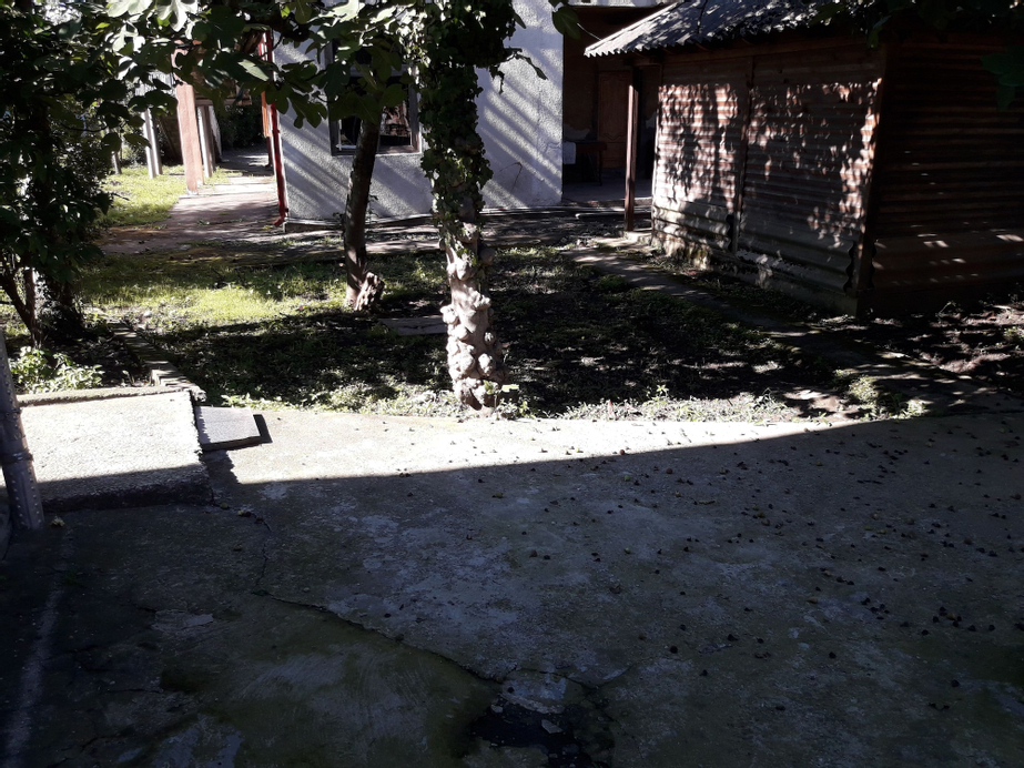 Cozy Home Hostel, Zugdidi