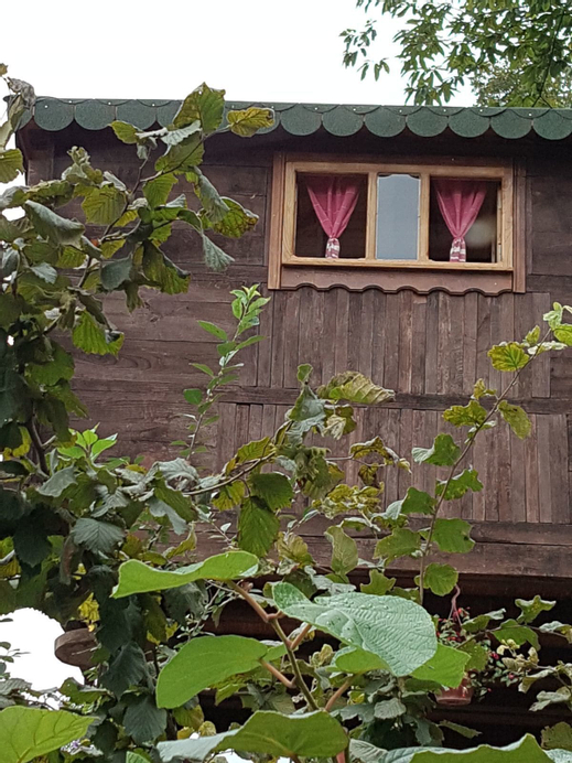 Olimbera Koy Evi, Arhavi