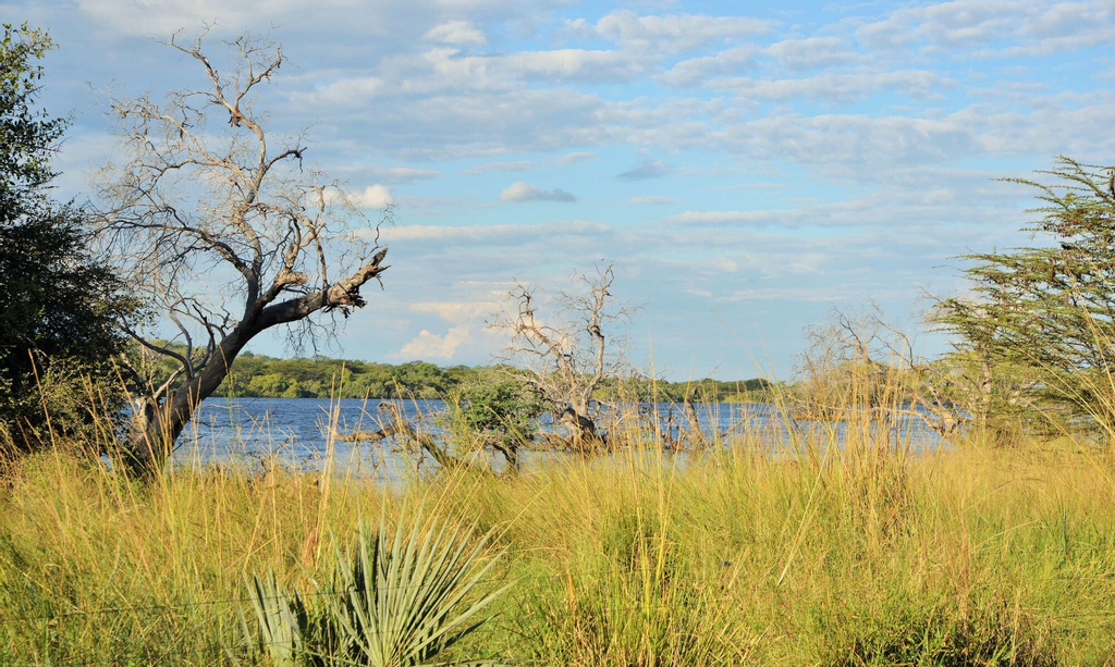 Thebe River Safaris, Chobe