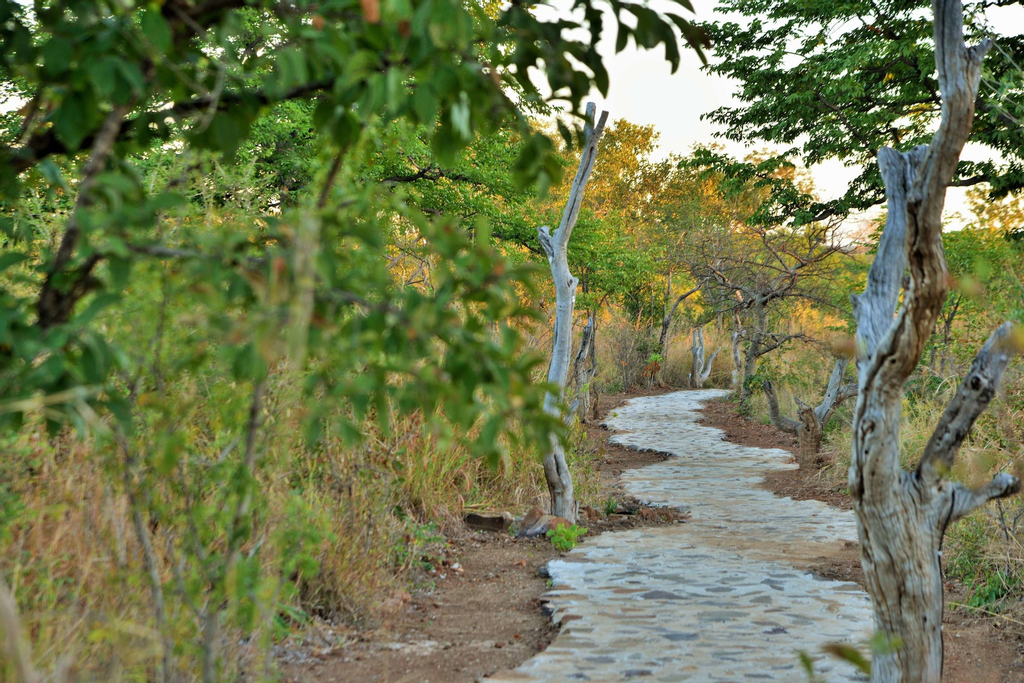 Wildtrack Safaris Eco Lodge, Chobe