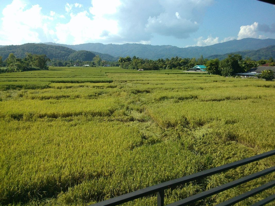 Nangfa Mini Hotel, Mae Chan
