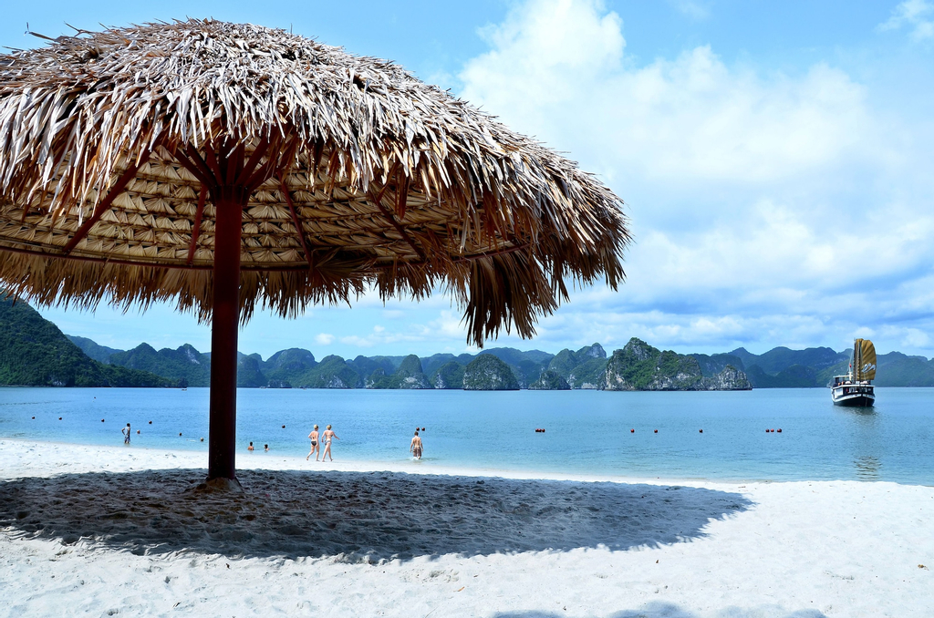 Paradise Peak Cruise, Hạ Long