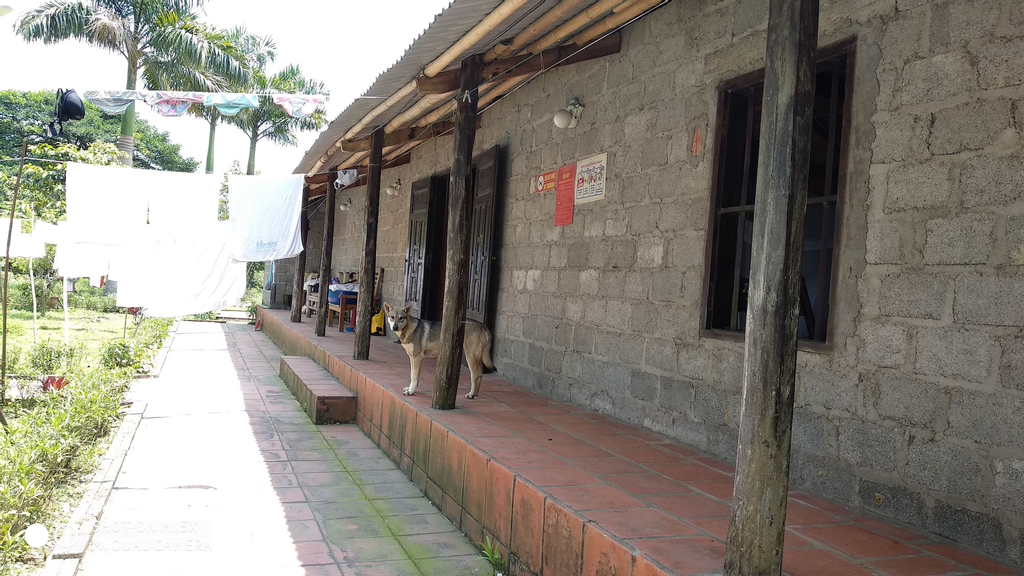 The Whisper Of Nature Bungalow, Cát Hải