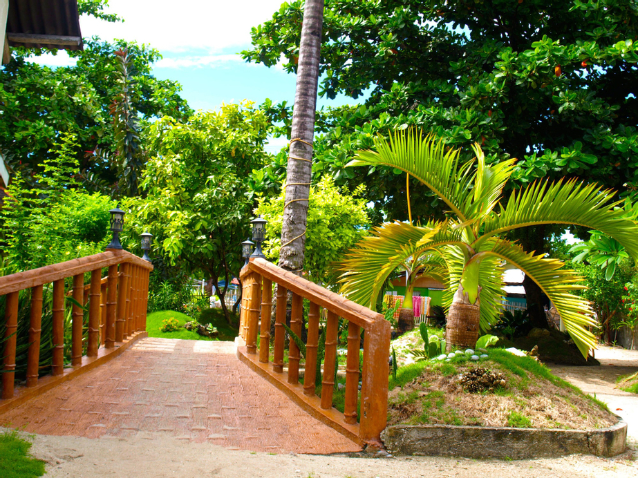 The Sharks Tail Dive Resort, Daanbantayan