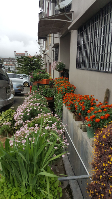 KPW at Royal Lily Apartment, Cameron Highlands