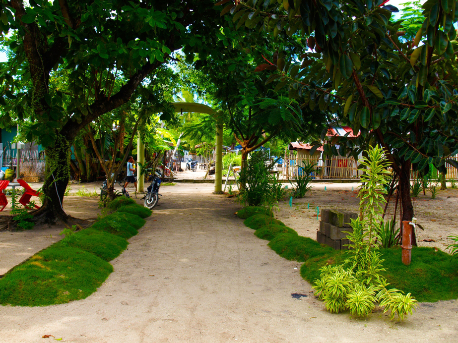 The Sharks Tail Dive Resort, Daanbantayan