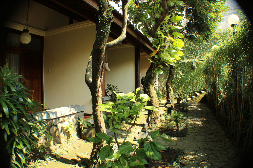 Rumah Mertua Heritage, Yogyakarta