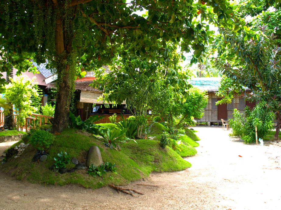 The Sharks Tail Dive Resort, Daanbantayan