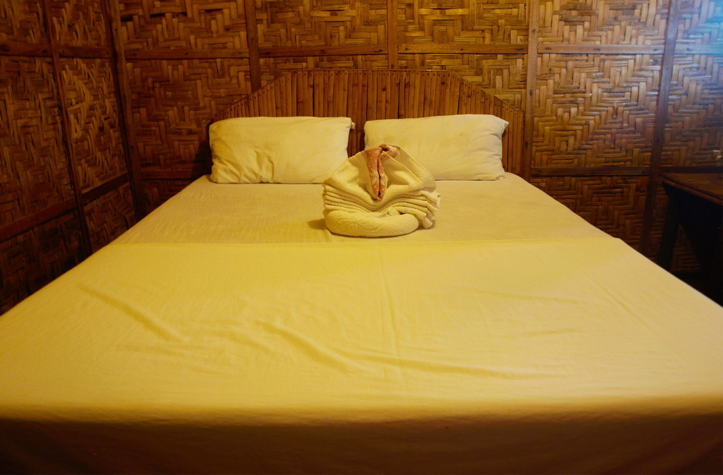 The Sharks Tail Dive Resort, Daanbantayan