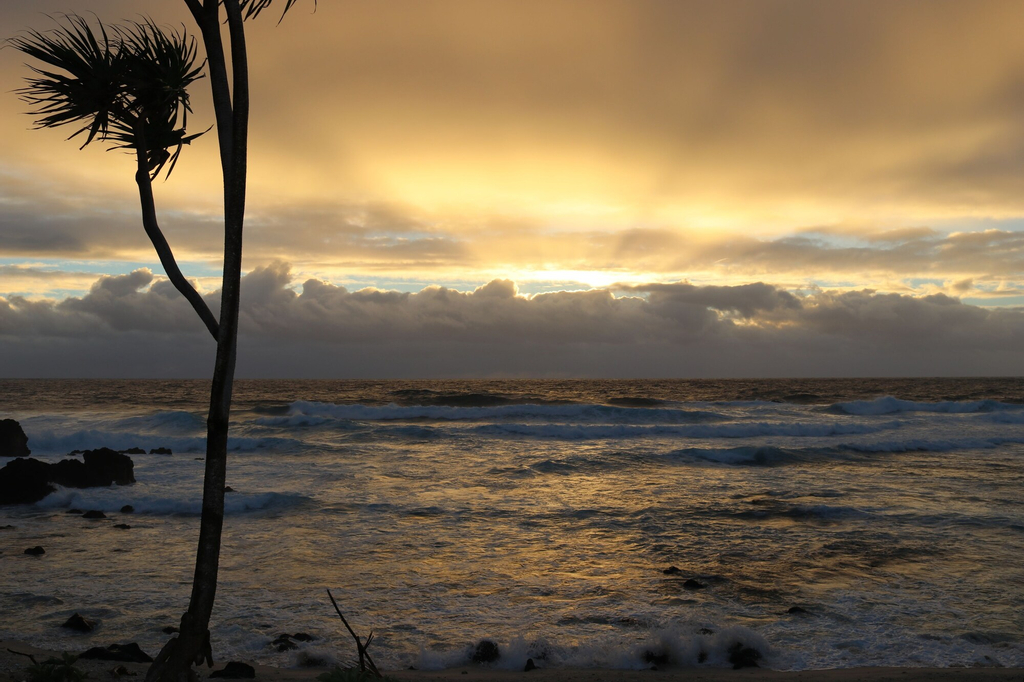 Tanna Horizon Bungalows & Tours, Whitesands