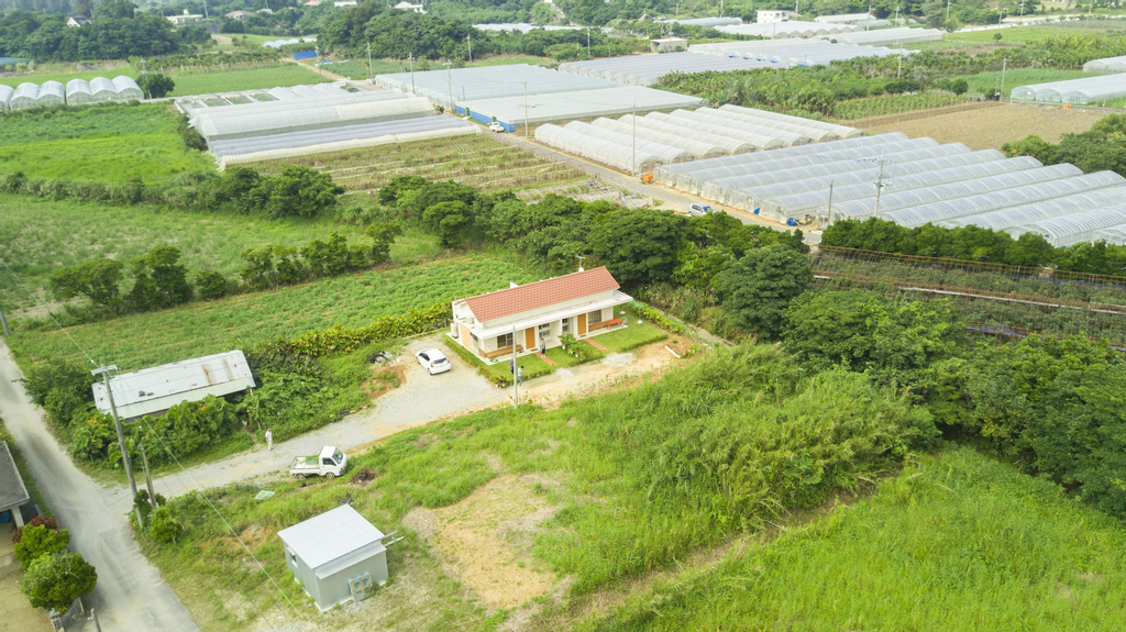 Kaeruya, Nakijin