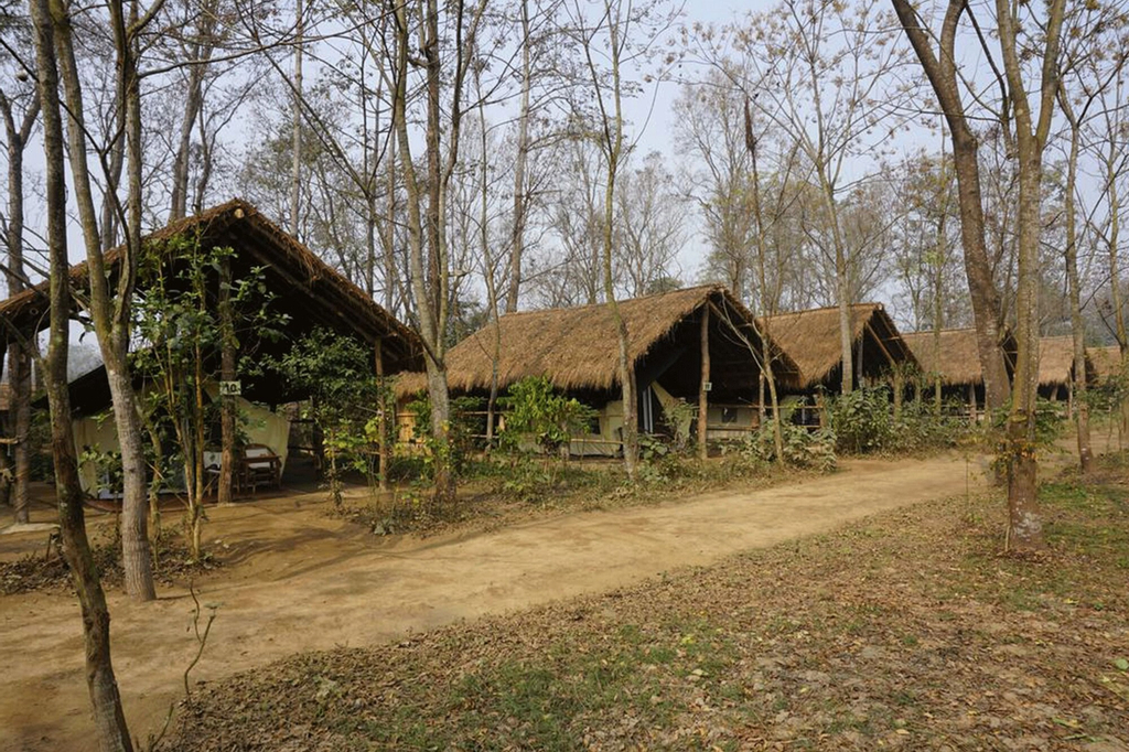 Tigertops Elephant Camp, Lumbini