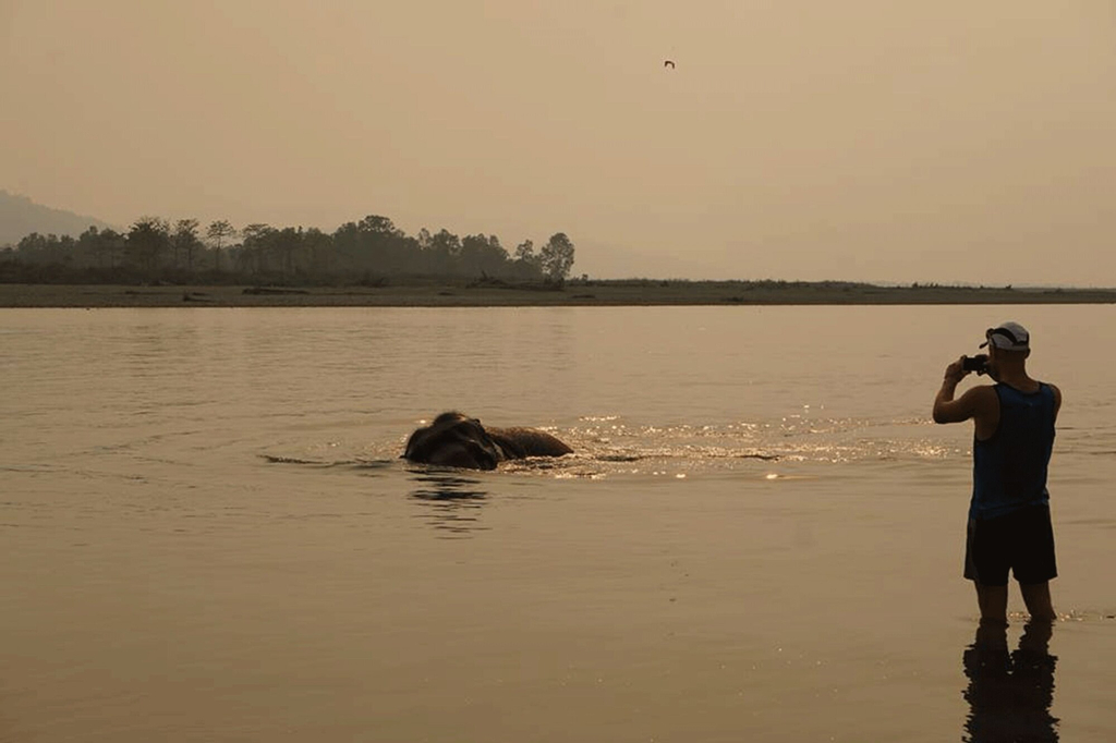 Tigertops Elephant Camp, Lumbini