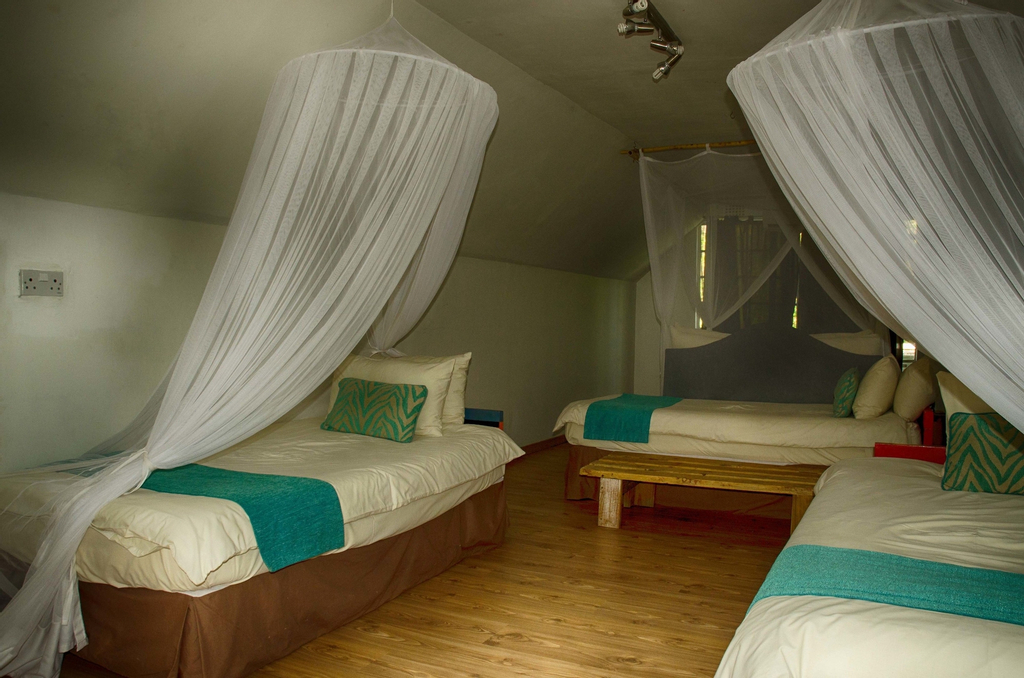 The Old House, Chobe