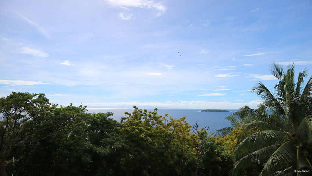 D' Downhill, Oslob