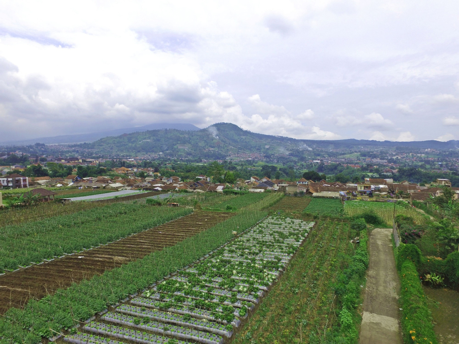 Vila Bunga Merah Gelatik, Bandung