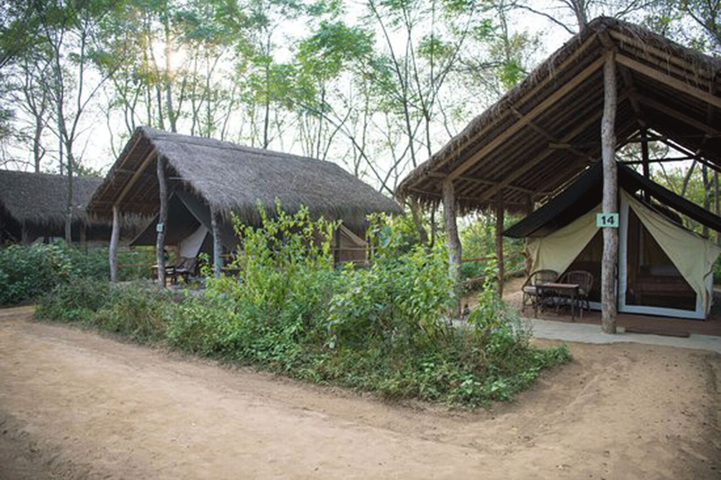 Tigertops Elephant Camp, Lumbini