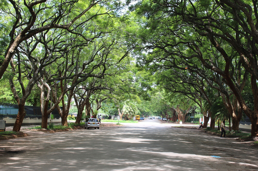 A Hidden Gem, Harare