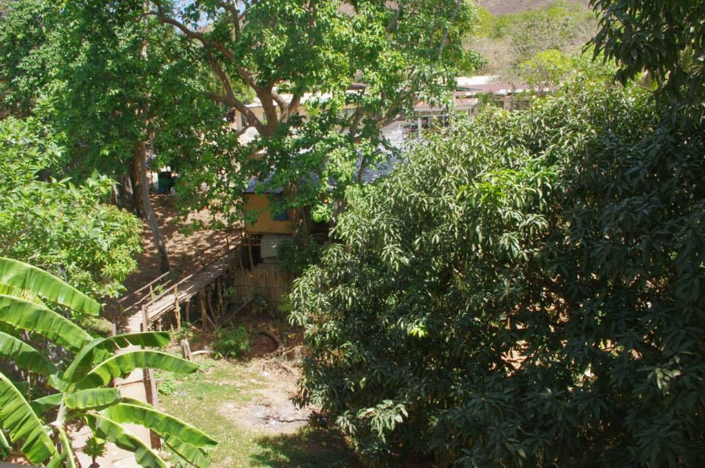 Kopi Doki Guest Haus, Coron